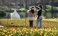 Keukenhof bus tour from Amsterdam