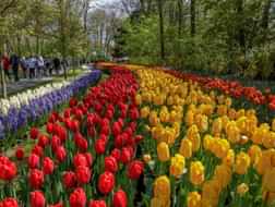 Visit one of the world's largest flower garden in 2024