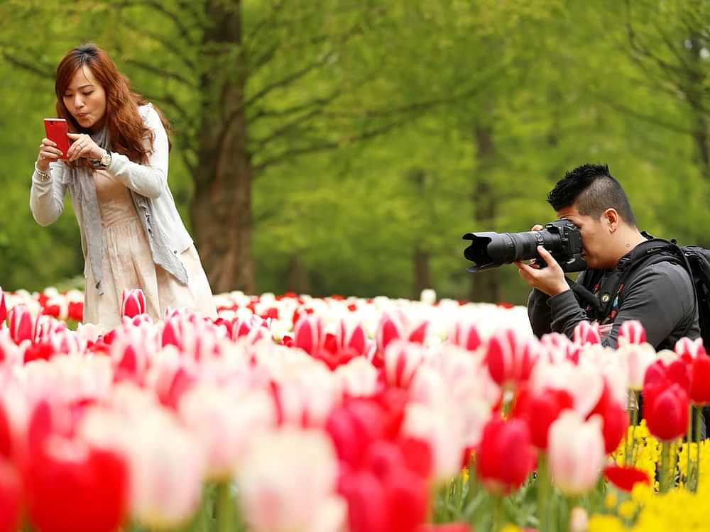 What to do at Keukenhof?