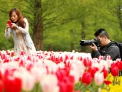 What to do at Keukenhof?