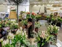 Events & flower shows