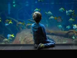 Top attractions for visiting Berlin with children