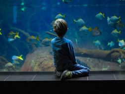 Top attractions for visiting Berlin with children