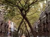 Photo spot 11. Lomanstraat