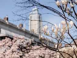Discover Rotterdam in spring