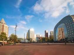 Unveiling Rotterdam: a city guide