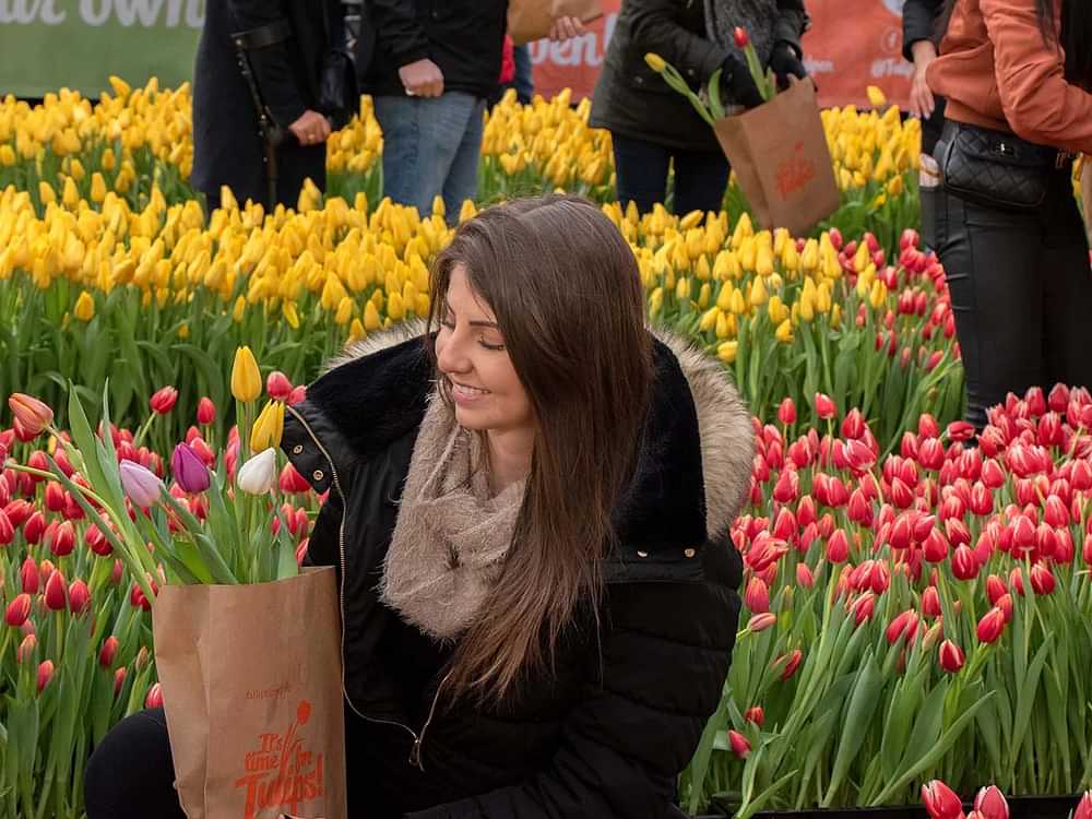National Tulip Day celebrations in Amsterdam
