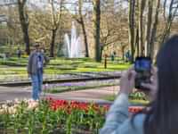 Springtime at Keukenhof! Witness the stunning tulips in full bloom — book your Keukenhof tickets now!