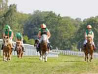 Go to the races