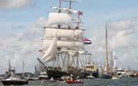 SAIL-IN - Experience the arrival of the Tall Ships up close, Including Lunch