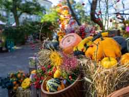Autumn is the time for food festivals in Berlin