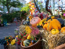 Autumn is the time for food festivals in Berlin