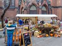 Pumpkin Festival