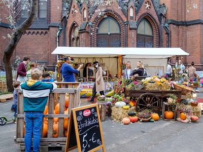 Pumpkin festival k0wjz02q