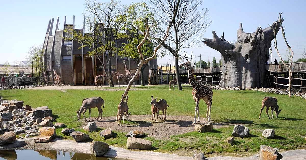 Attractions in Rotterdam: 5 Best Attractions in 2026 | Tours & Tickets