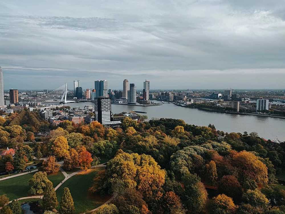 Autumn in Rotterdam: time to go exploring