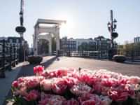 Photo spot 9. Skinny Bridge