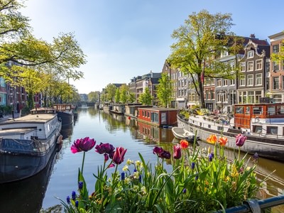 Shutterstock 2779120313