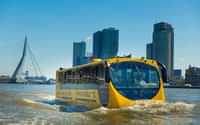 Splashtours Rotterdam