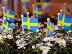Celebrate the National Day of Sweden: 500 year anniversary