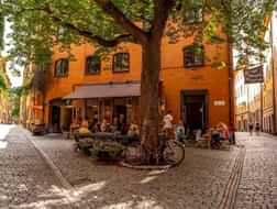 Stockholm’s best places to eat and what to order there