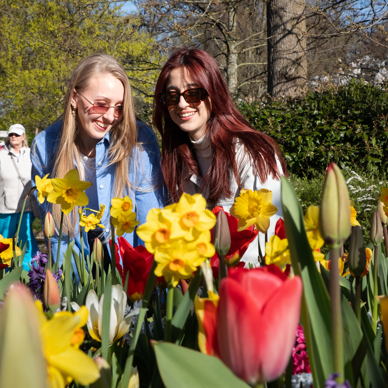 Keukenhof Entry Tickets – afbeelding 5