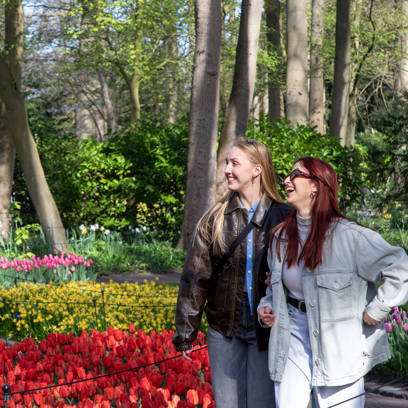 Keukenhof - Amsterdam Bus Transfer – afbeelding 5