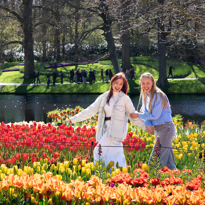 Keukenhof + Countryside and Windmills tour – afbeelding 5