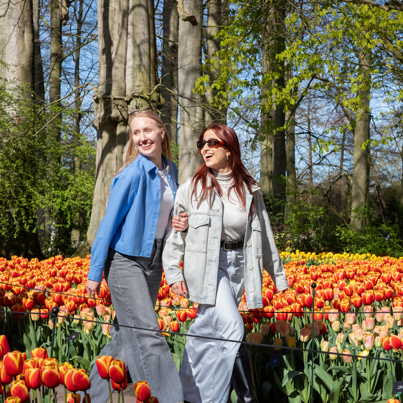 Keukenhof + Countryside and Windmills tour – afbeelding 4