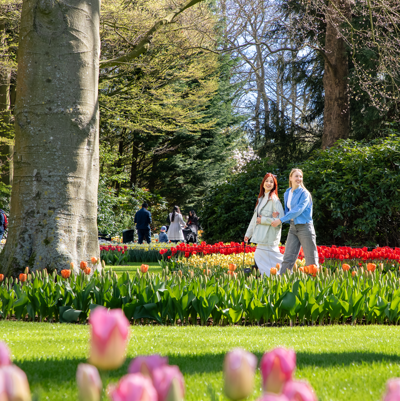 Keukenhof Entrance + Amsterdam Canal Cruise – afbeelding 4