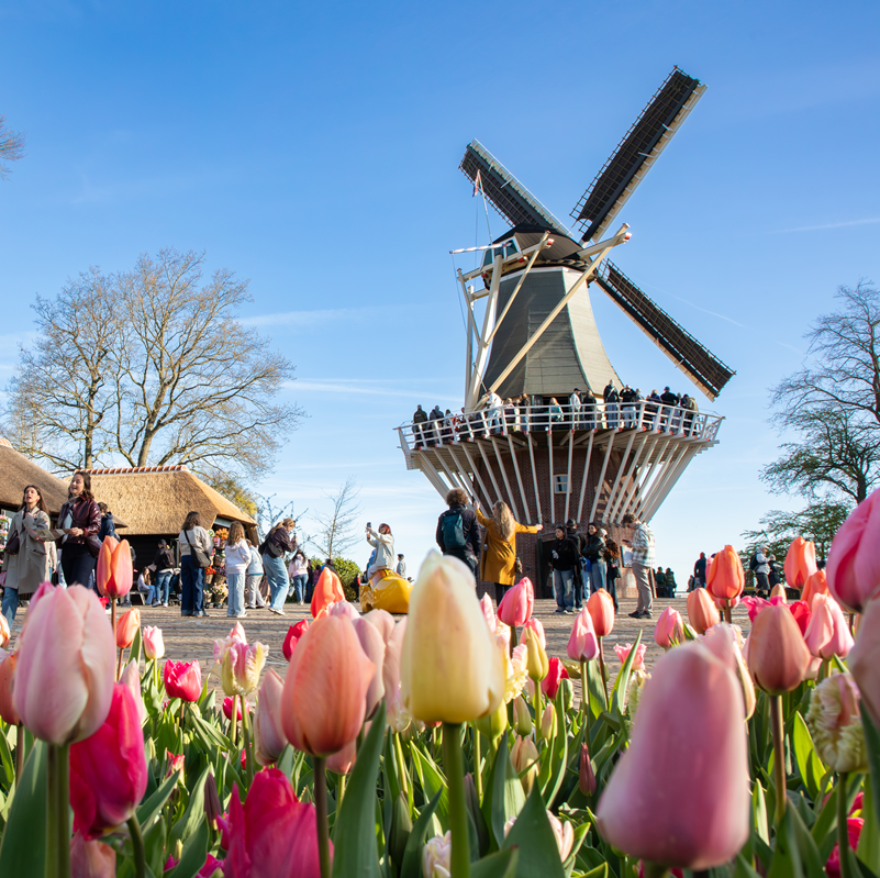Keukenhof day trip from Amsterdam + Amsterdam Canal Cruise – afbeelding 4