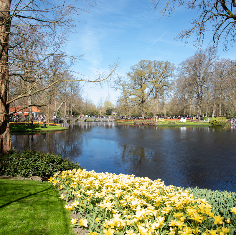 Keukenhof Entry Tickets – afbeelding 4