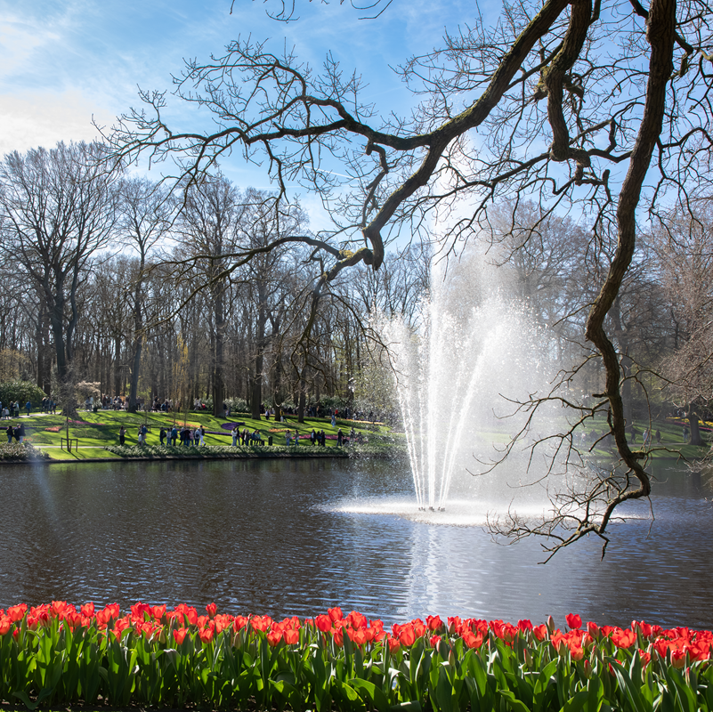 Keukenhof + Countryside and Windmills tour – afbeelding 3