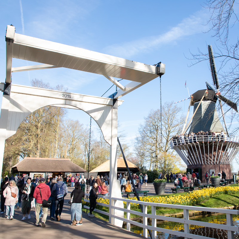 Keukenhof Day Trip with Guided Tour, Free Time and Bus Transfer – afbeelding 5