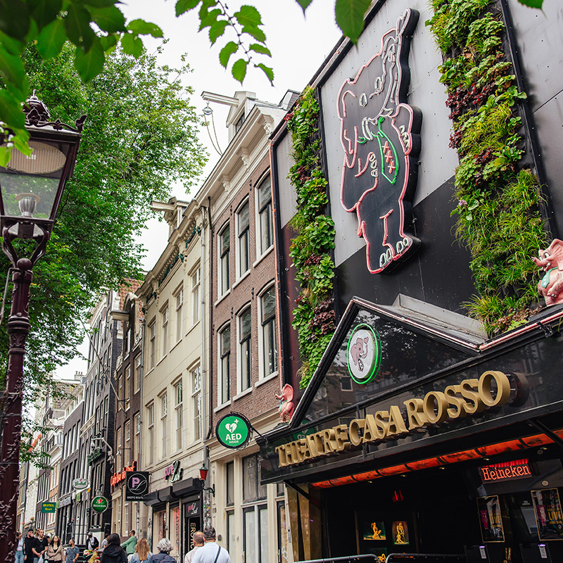 Red Light Tour Amsterdam - Walking Tour through the Red Light District – afbeelding 2