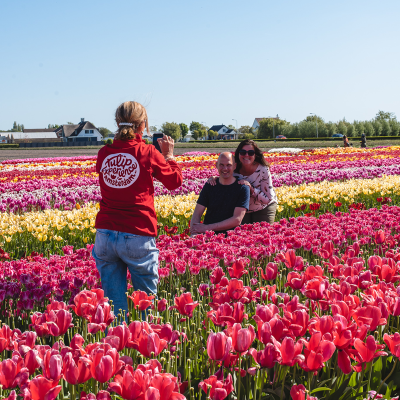 The Tulip Experience Amsterdam: Ticket only