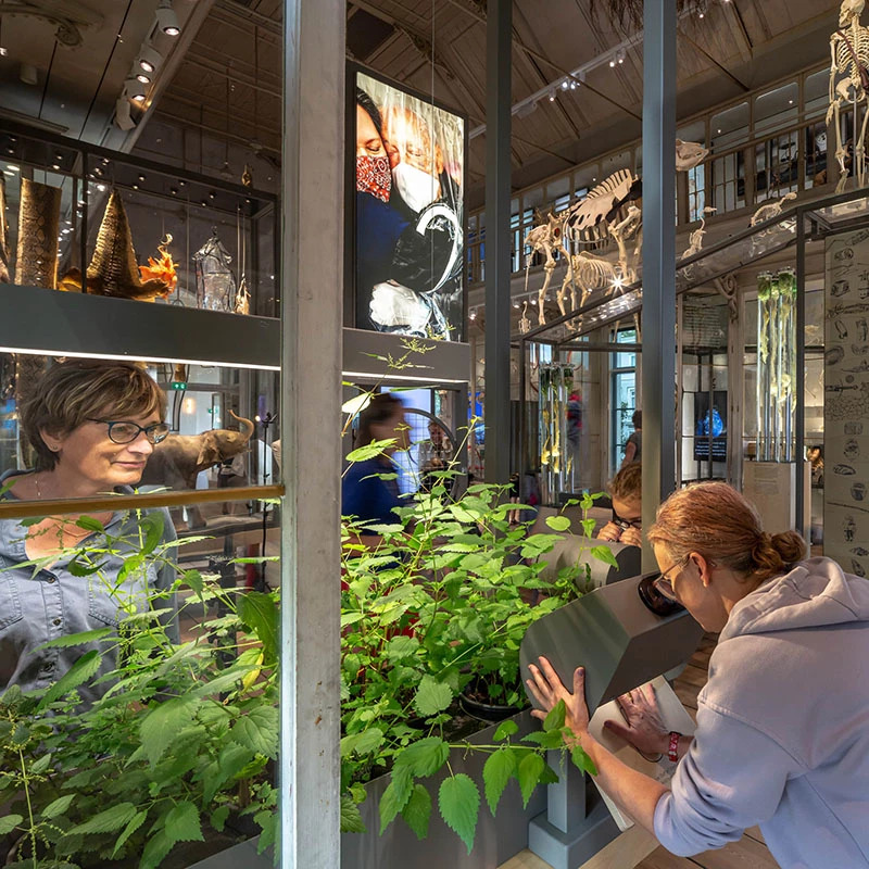 ARTIS-Groote Museum - Asking the big questions – afbeelding 2