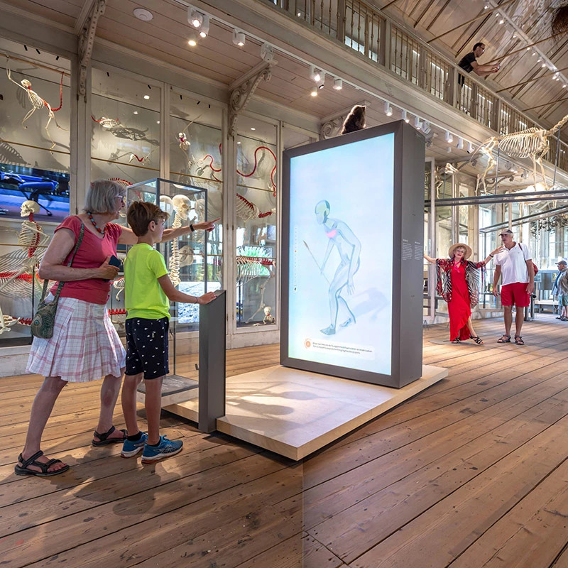 ARTIS Royal Zoo + Groote Museum – afbeelding 2