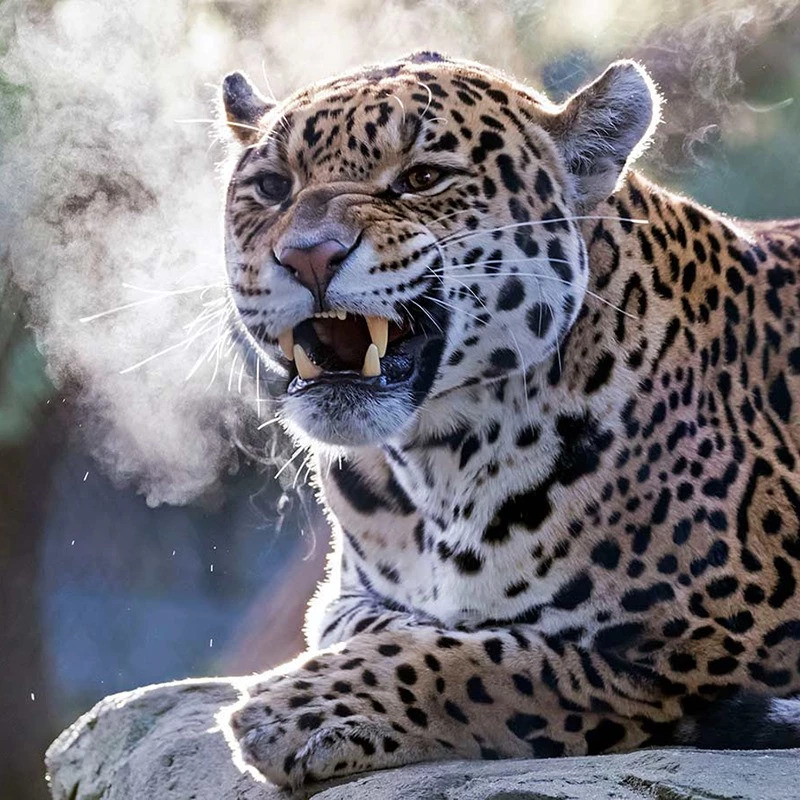 ARTIS Amsterdam Royal Zoo – afbeelding 3