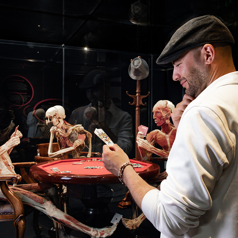 BODY WORLDS Amsterdam – afbeelding 3