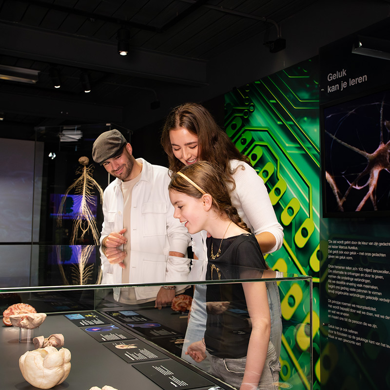 BODY WORLDS Amsterdam