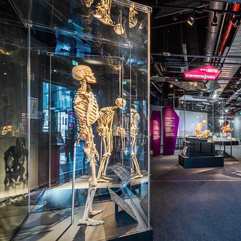 KÖRPERWELTEN - BODY WORLDS Berlin