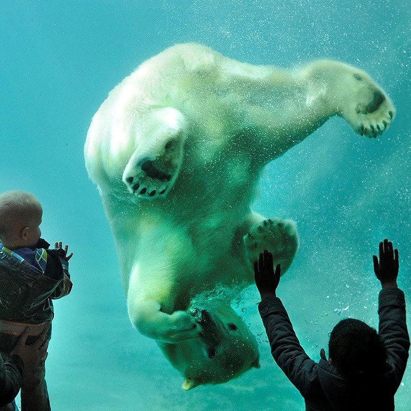 Rotterdam Zoo Diergaarde Blijdorp – afbeelding 4