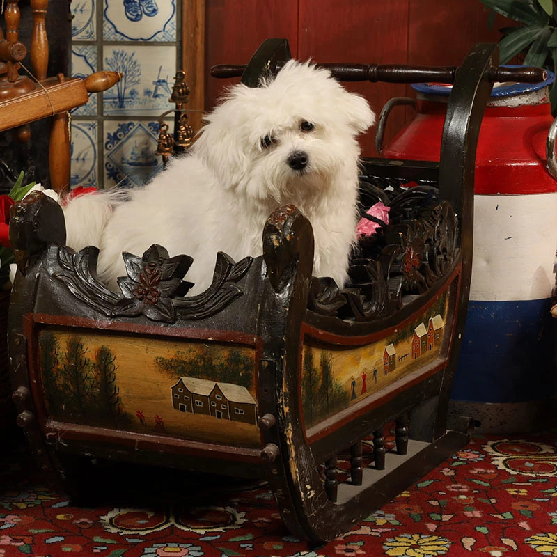 Picture in Volendam attire – afbeelding 3