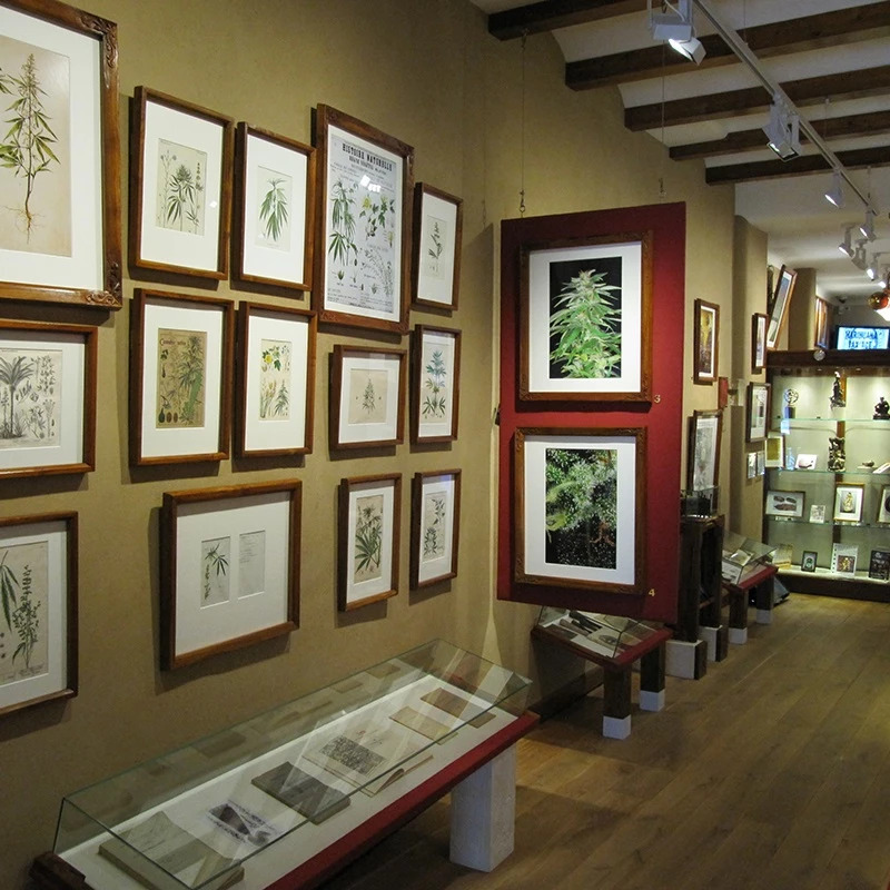 Hash Marihuana & Hemp Museum – afbeelding 2