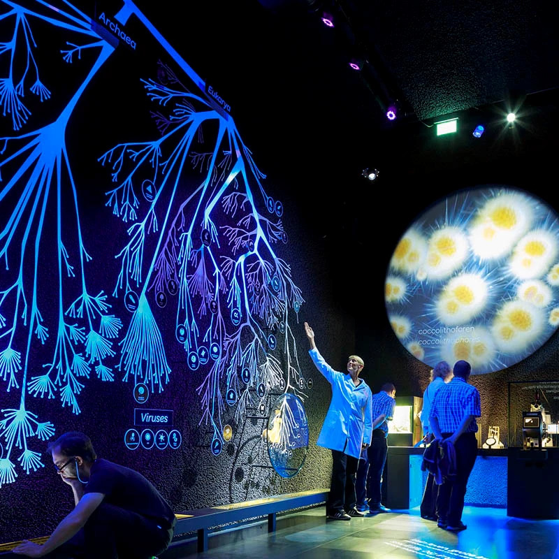 ARTIS Royal Zoo + Micropia – afbeelding 4