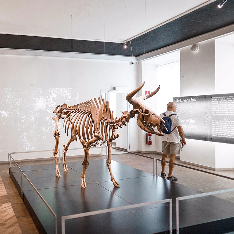 National Museum of Denmark – afbeelding 3