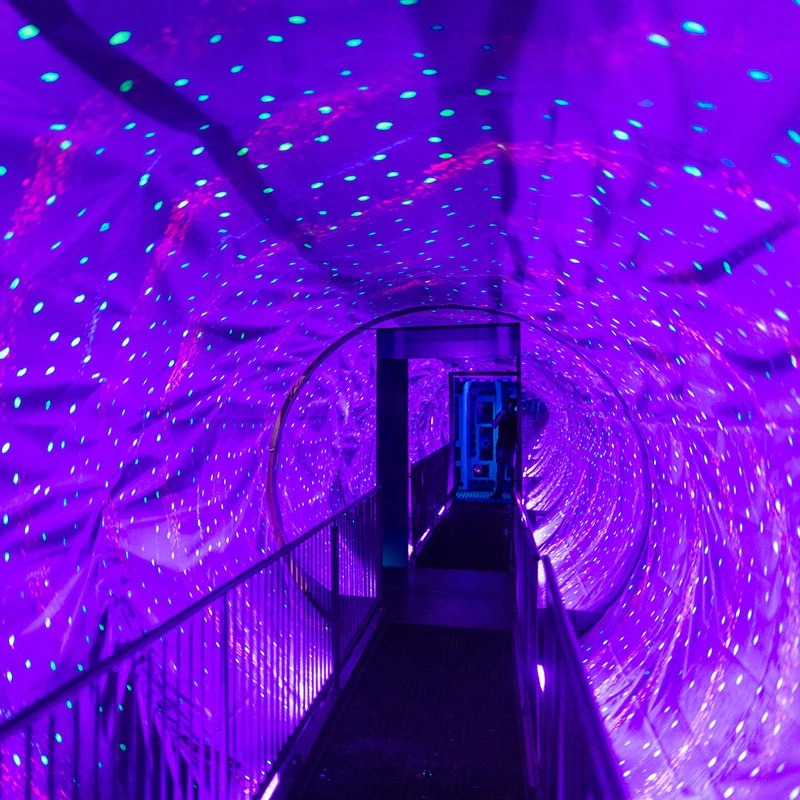 Ripley's Believe It or Not! Amsterdam – afbeelding 2