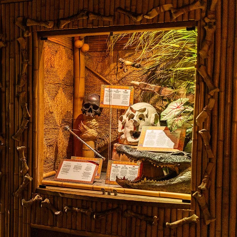 Ripley's Believe It or Not! Copenhagen – afbeelding 5