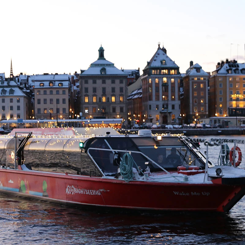 Stockholm Winter Holidays Boat Tour – afbeelding 3